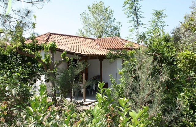 Tranquilo, en medio de un olivar, cerca de la playa, wifi | Casa de vacaciones Ili