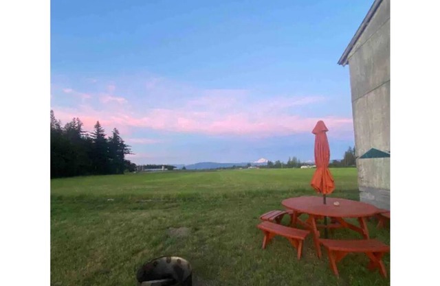 CAMPSITE Mourning Dove at June Bud Farms