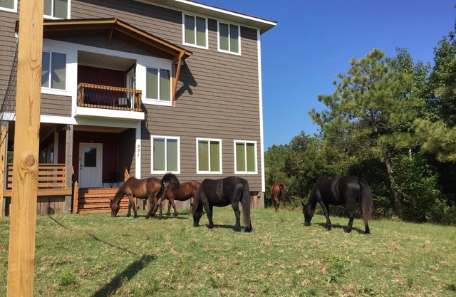 Ubicación del canal. Aparcamiento gratuito en la playa. BAÑERA DE HIDROMASAJE.