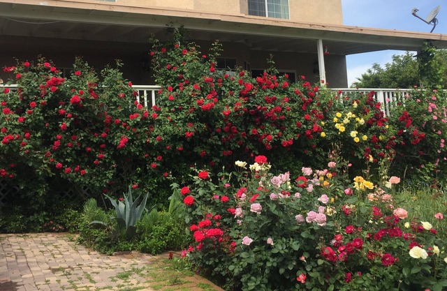 Canyon Lake. CASA COMPARTIDA: Suite de dos habitaciones y un baño