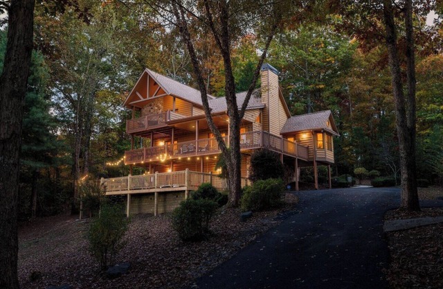 Cardinal and Bear Lodge