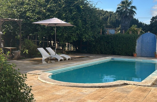 Casa das Camélias Tortas, charming and welcoming