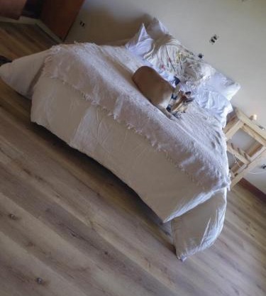 Casa de Campo - Haras