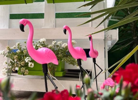 Casa Flamingo