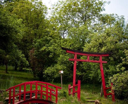 Casa Lily - Japanese Retreat