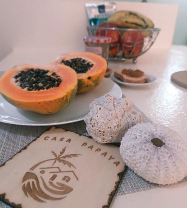 Casa Papaya19