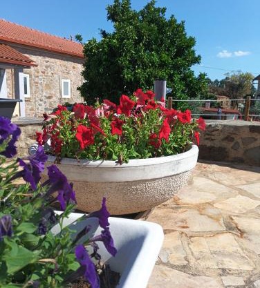 Casa Virginia Wellness House