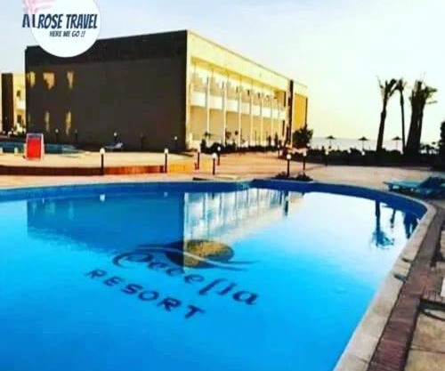 Cecelia Resort Challet