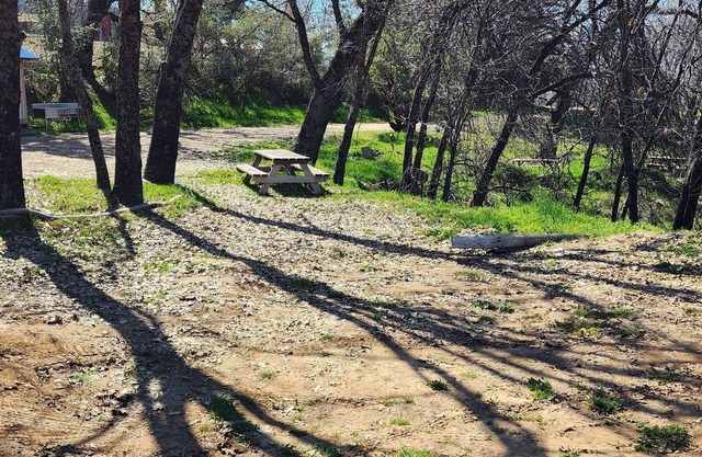 CG24 Lrg Campsite/Shower | Kings Canyon/Sequoia NP