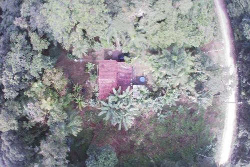 Chácara na Mata Atlântica