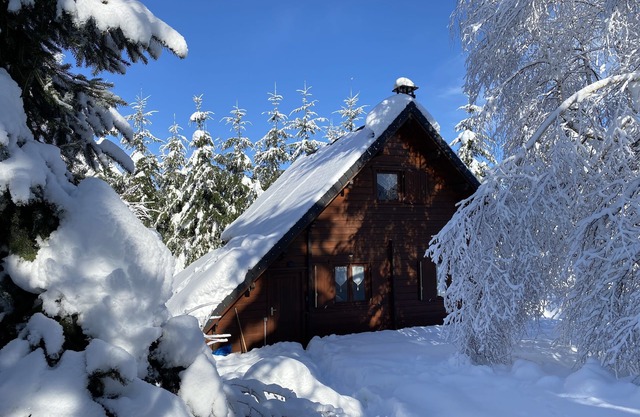 CHALET 70 m2 - 6 PERS - cerca de MONT DORE / SUPER BESSE - 1000 m2 de terreno cerrado