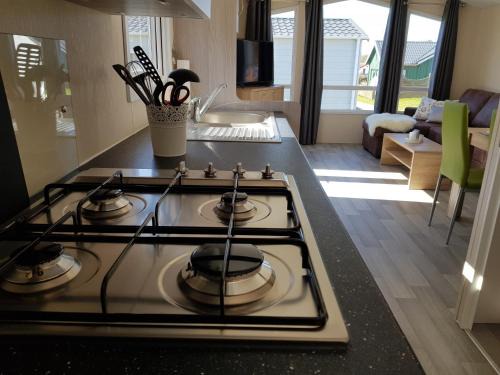 Chalet Alpenstrandläufer am Kransburger See 543