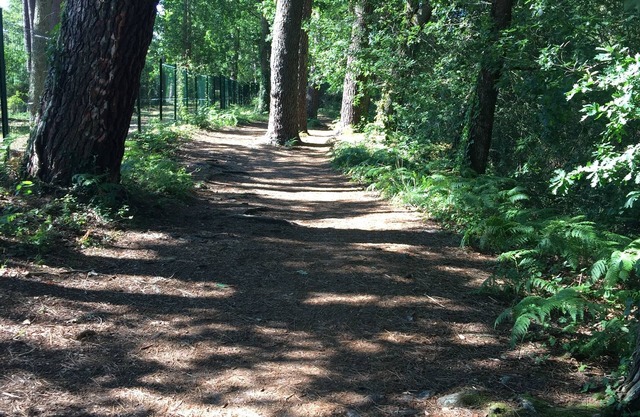 CHALET on the Bassin d'Arcachon (in a vacation village)