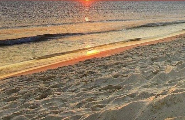 Chalets in Cecelia Resort