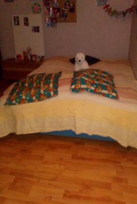 CHAMBRE CHEZ L HABITANT