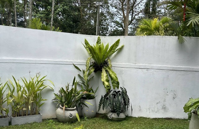 Charming 4-bedroom bungalow with plunge pool