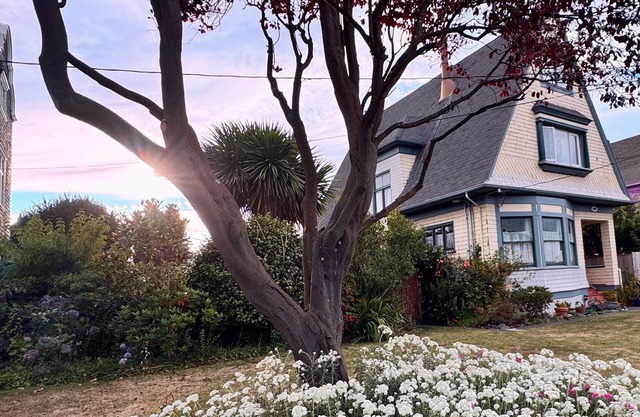 Charming and Cozy Room in beautiful Eureka Victorian