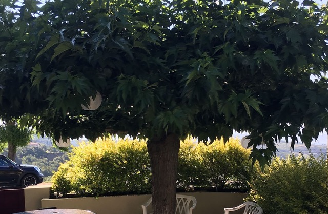 charming apartment overlooking st florent