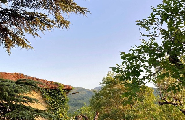 Mansion - Lizzano in Belvedere