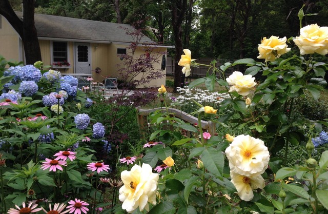 Cottage con Encanto Cape Cod