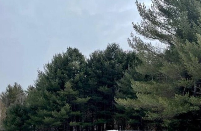 Charming Cottage - close to the Lake