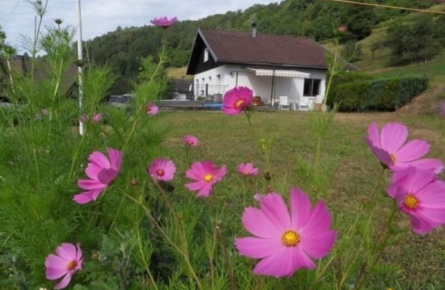 Acogedor gîte cerca del centro de La Bresse con rutas de senderismo y río para pesca