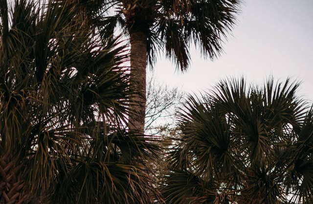 Encantador diseñador propiedad de casa en la locura. A 7 cuadras del pueblo. Retiro romántico.