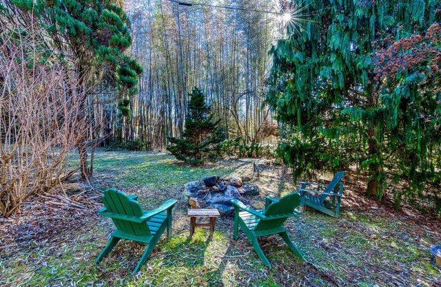 Charming dog-friendly mountain cabin with fireplace, central AC, & fast WiFi,
