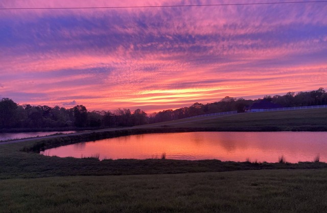 Charming Lakefront Cottage in Kernersville - Relax with nature!