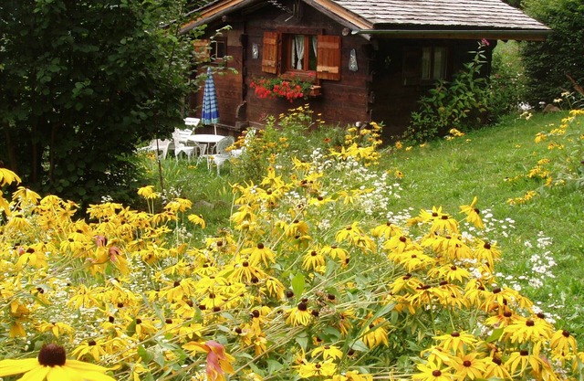 Pequeño y encantador chalet con magníficas vistas de la gama Mont-Blanc.