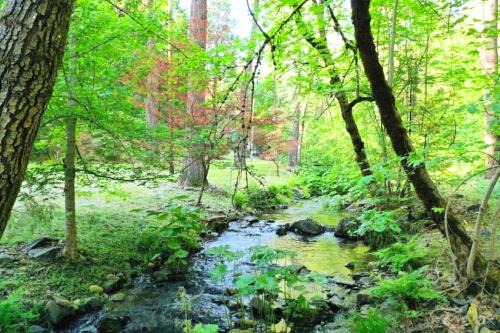 Charming property with 2 cabins and private creek all to yourself