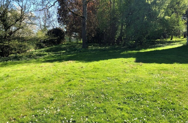 Alquiler con encanto en una mansión con parque y madera de 1 ha