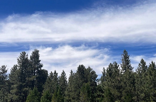 Charming studio in enchanting Springfield-TEST LISTING!