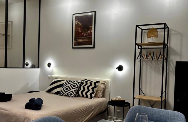 Charming studio Le Petit Godron - Nancy Centre, 50 metres from Place Stanislas
