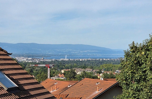 Charming T3 duplex, 67m2 13m2 outdoor terrace, 1km from Geneva, parking box.