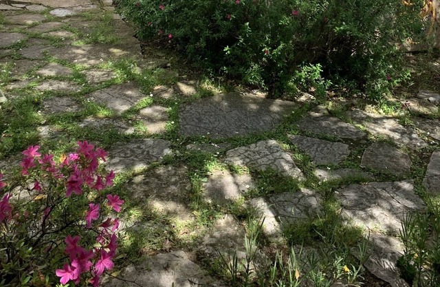 Vrbo Property