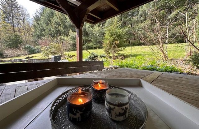 Charming Villa On The Forest In Wald 12 guests Hugh garden WILLINGEN SAUERLAND