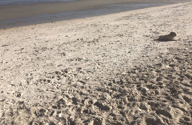 Cheerful, modern, private unit - 5 min to the beach