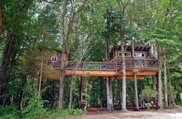 Cherry Treesort "Big Nick"