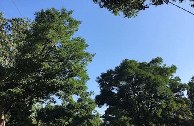 Chic Malvern Hideaway - Perfect for Study & Fun!