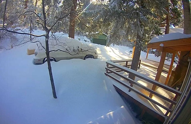 Child- & Dog-friendly 3-Bedroom Eco-Cabin w/Fully Enclosed Yard & Late Check-Out