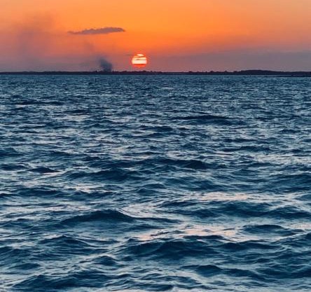 Chupaflor - Alexander Luxury & Executive Suites