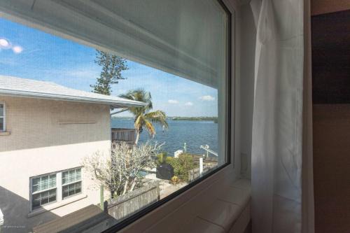 Coastal Breeze Siesta Turtle "B"