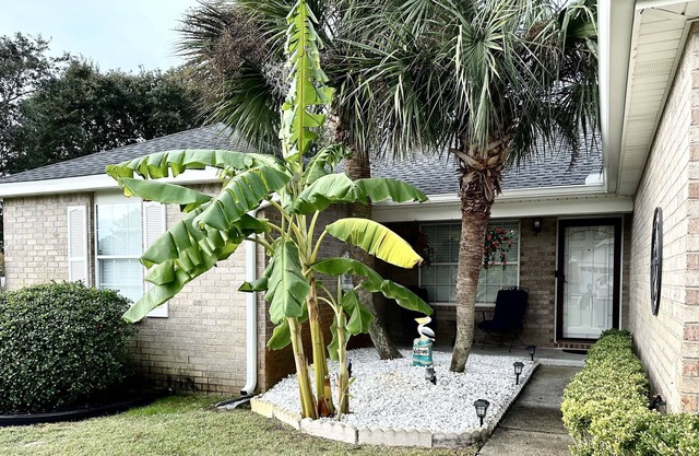 "Coastal Cottage" Spacious Coastal Home, Game Room/Bikes/Large yard