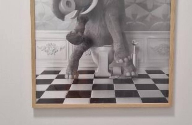 Comfortable T3 with large terrace