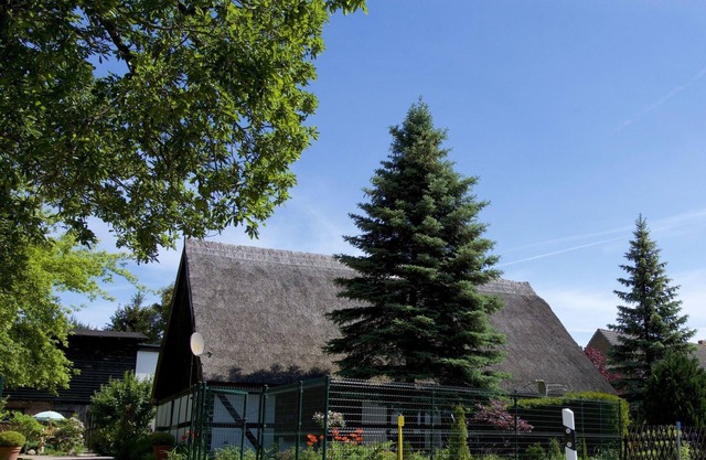 Ferienhaus en Gegensee am Naturpark