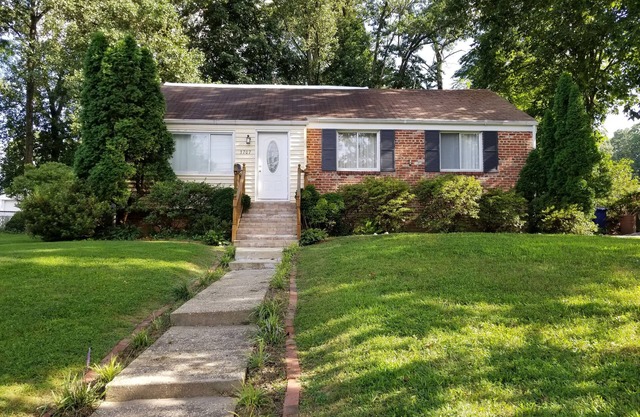 Cómodo y conveniente!