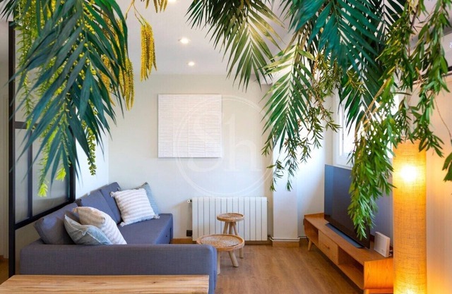 Comfortable apartment near Park Güell
