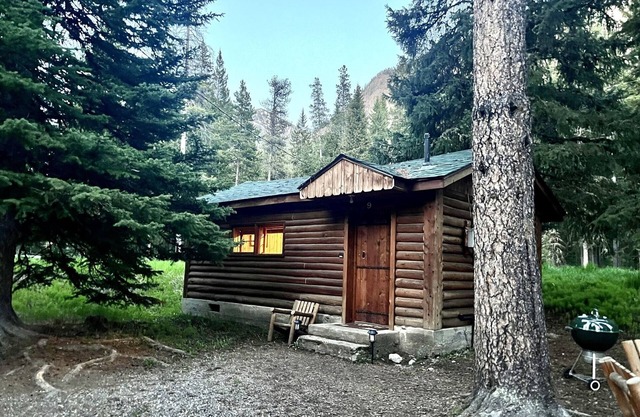 Comfortable Cabin next to Yellowstone National Park