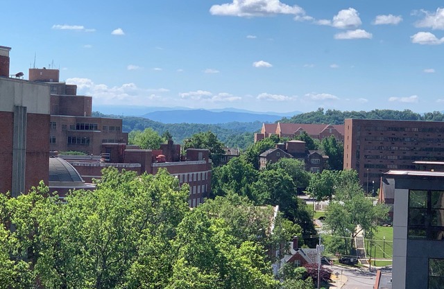 Condo, Walk To Stadium And Free Parking!!!!!